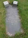 image of grave number 541625